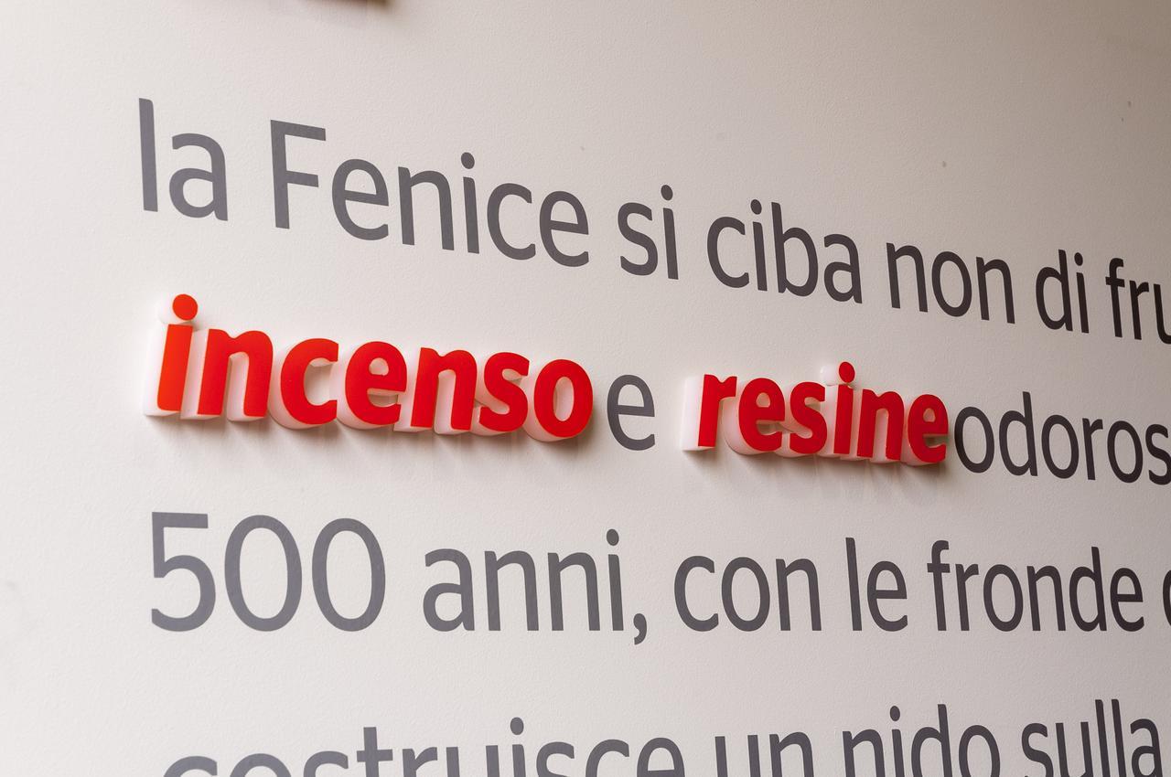 Villa Fenix Osio Sotto Esterno foto